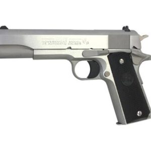 Colt 1911/1991 Government Series 80 .45 ACP